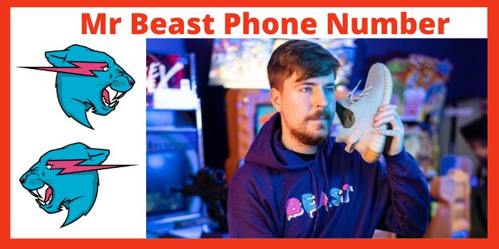 Mr Beast Phone Number